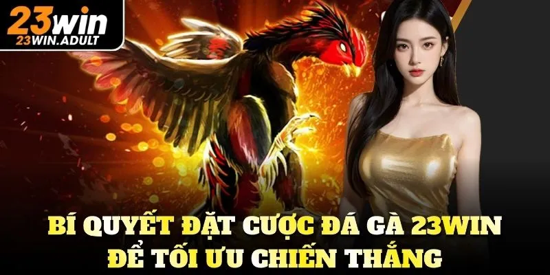 Bí quyết đặt cược đá gà kubet 11 net để tối ưu chiến thắng