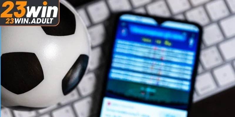 Kinh nghiệm soi kèo rung chuẩn nhất